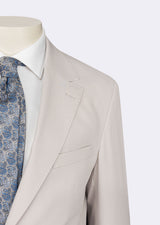 Grey Suit