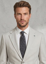Light Grey Suit