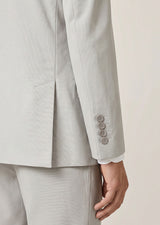 Light Grey Suit