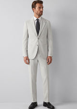Light Grey Suit