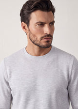 Light Grey Sweatshirt
