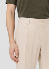 Beige Chino & Casual Pant